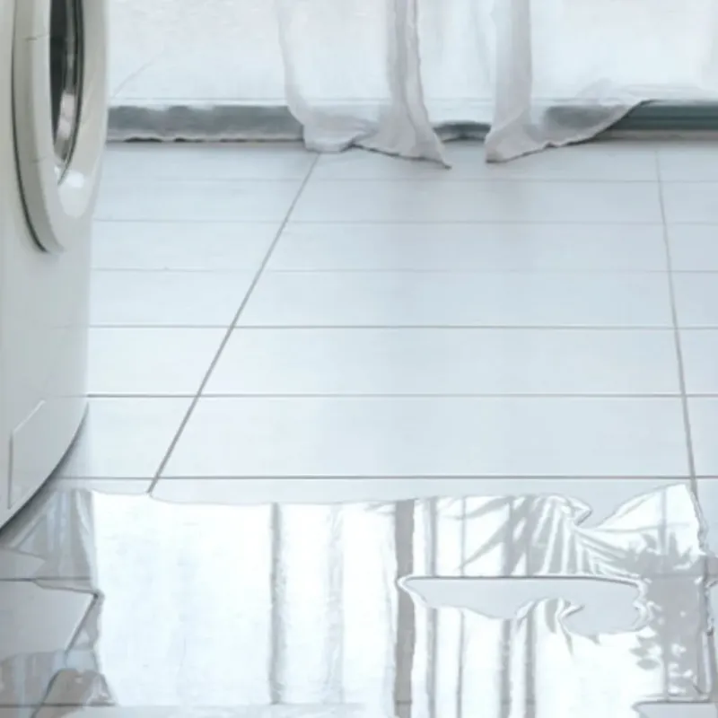 Appliance Leak Cleanup in Twin Falls County, ID