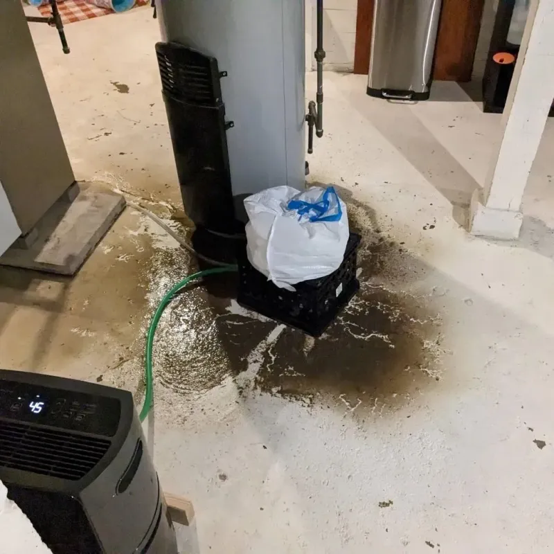 Sewage Backup Cleanup Service in Twin Falls County, ID
